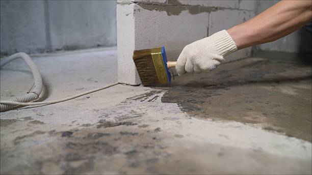 Top rated local Waterproofing specialists in Huntington Woods, MI